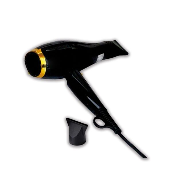 Sèche-Cheveux Powtech DP-9920